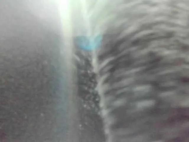 Annie-switt on BongaCams