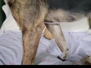 kaileeshy on Chaturbate