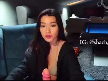 shachatte on Chaturbate