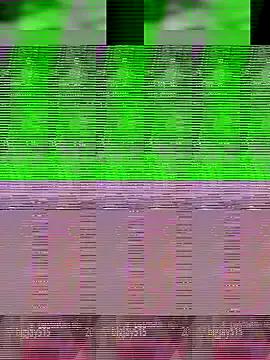 Aaisha-16 on StripChat