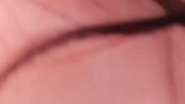 alix_bay on StripChat