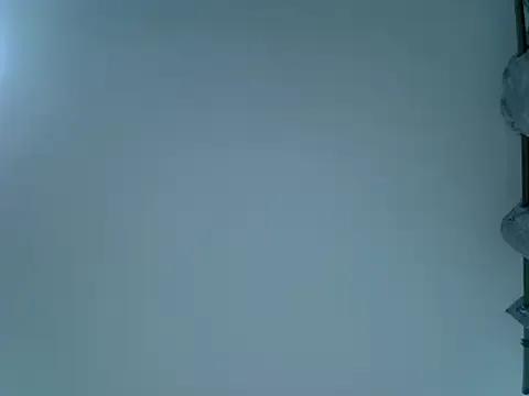 Anselma_ on StripChat