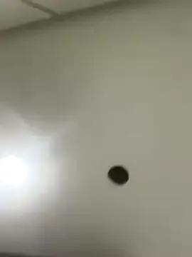 elliepixie — Private on StripChat