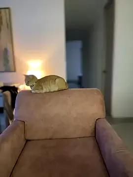 Im_Valentina on StripChat