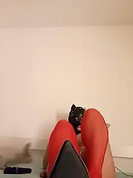 KittenCarnivore on StripChat