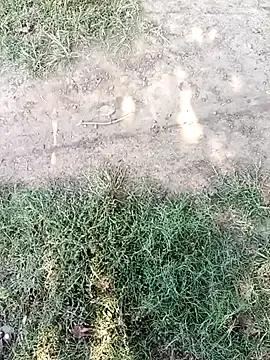 Mehta_seema on StripChat