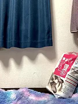 PINO_pino_01 — Group on StripChat