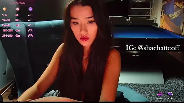 shachatteof on StripChat