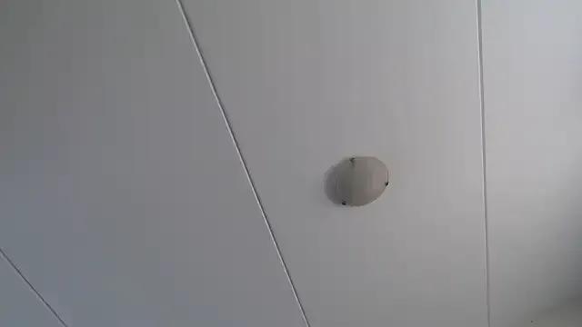 StupidNaturalPhatBooty_ on StripChat