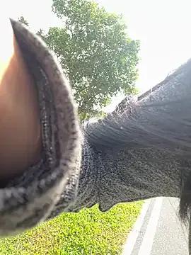 Winona88 on StripChat