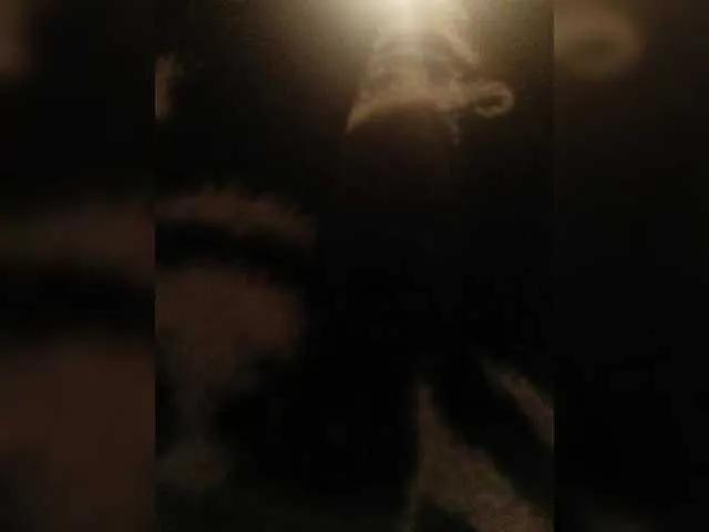 Duramapola's avatar