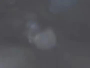 albatr0ss90 on Chaturbate 