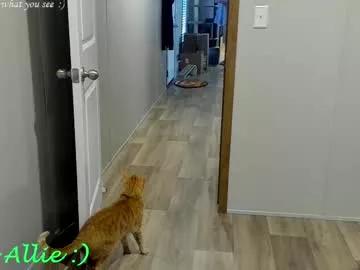 allie__kat on Chaturbate 