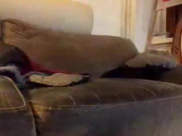 bigboadick on Chaturbate 