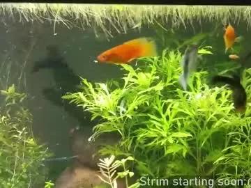 booker_baxton on Chaturbate 