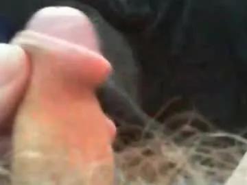 bullemoe on Chaturbate 