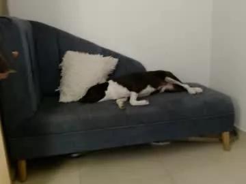 jimmy_king1 on Chaturbate 