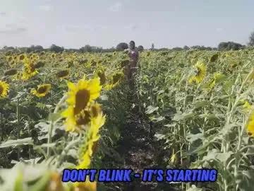 sunflower0907 on Chaturbate