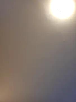 Hornyblond_Bella — 1 Video,  1 Bild
