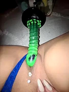Iitaniee on StripChat 