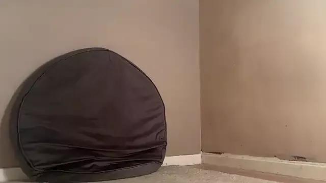 jennytwinkle69 on StripChat 