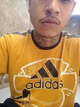 pauctdd on StripChat