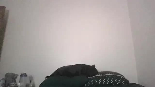 SiminFox on StripChat 