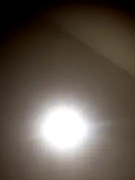sua_sub_ — Delcia